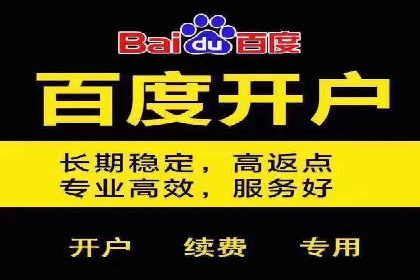 百度竞价运营案例分析：实战经验总结